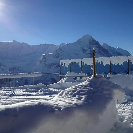 Hostel Berggasthaus First - Only Accessible By Cable Car
