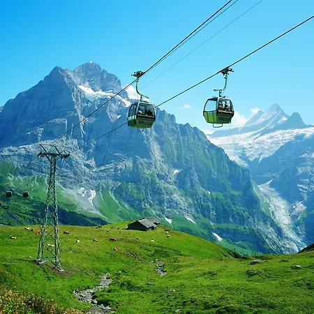 Berggasthaus First - Only Accessible By Cable Car Hostel Grindelwald