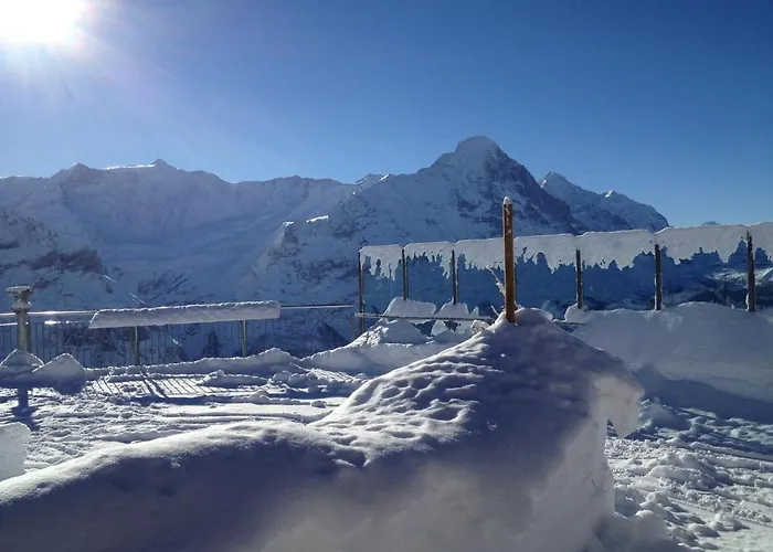 بيت شباب Berggasthaus First - Only Accessible By Cable Car