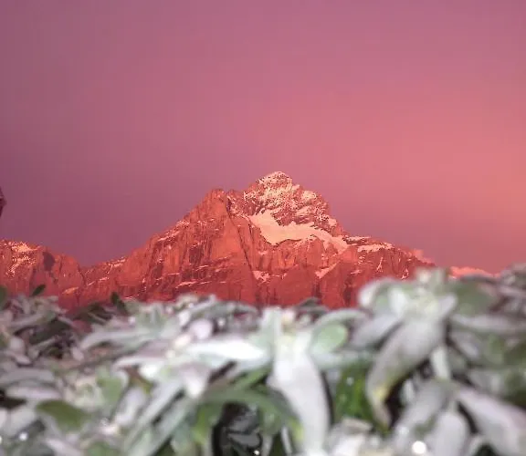 Berggasthaus First - Only Accessible By Cable Car Hostal Grindelwald