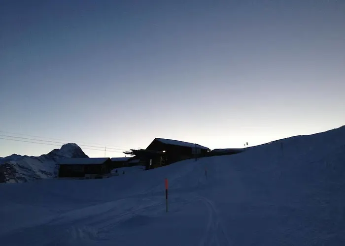 Berggasthaus First - Only Accessible By Cable Car جريندلوالد