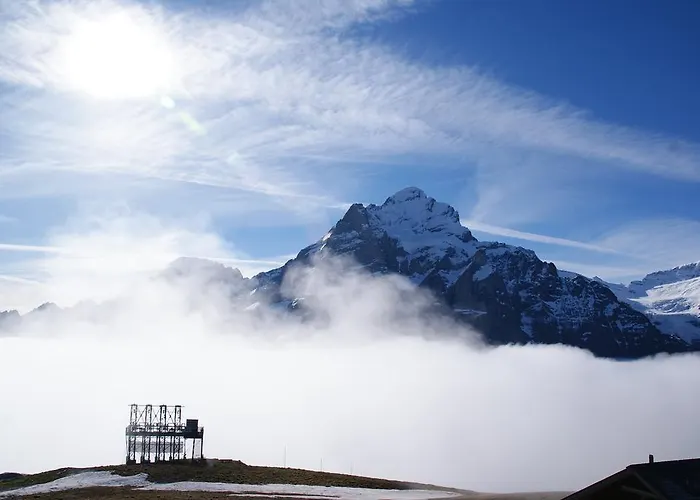 Berggasthaus First - Only Accessible By Cable Car جريندلوالد