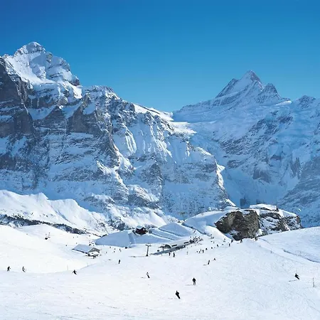بيت شباب Berggasthaus First - Only Accessible By Cable Car